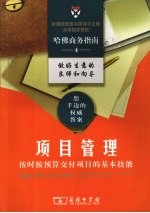 项目管理：按时按预算交付项目的基本技能 封面