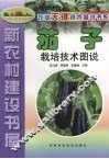 茄子栽培技术图说 封面