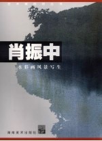 肖振中  水彩画风景写生 封面