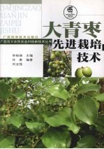 大青枣先进栽培技术 封面
