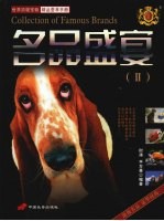 名品盛宴  2 封面