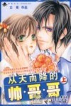 从天而降的帅哥哥  上 电子书封面