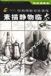 素描静物临本 封面