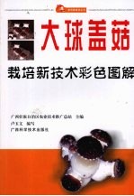 大球盖菇栽培新技术彩色图解 封面