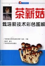 茶薪菇栽培新技术彩色图解 封面