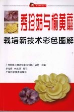 秀珍菇与榆黄蘑栽培新技术彩色图解 封面