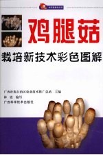 鸡腿菇栽培新技术彩色图解 封面