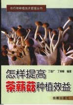 怎样提高茶薪菇种植效益 封面