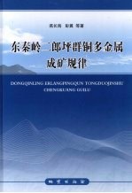 东秦岭二郎坪群铜多金属成矿规律 封面