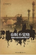 春眠不觉晓  困境中复苏的俄罗斯经济 封面