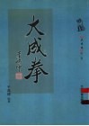 大成拳  第3卷  王选杰大成拳大全 封面