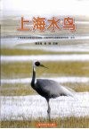上海水鸟 封面