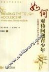 如何对待问题青少年  以家庭为本的15步治疗指南 封面