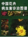 中国花卉病虫害诊治图谱  下 封面