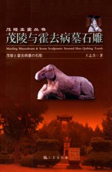 茂陵与霍去病墓石雕 封面
