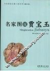 名家图说贾宝玉  图文版 封面