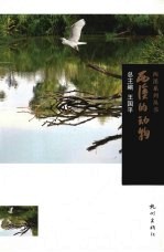 西溪的动物 封面