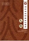 嵊州市非物质文化遗产大观 封面