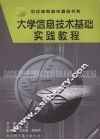 大学信息技术基础实践教程 封面