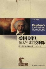 爱因斯坦尚未完成的交响乐 封面