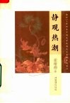 静观热潮  透过20世纪末中国美学及相关艺术现象的窗口 电子书封面