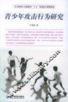 青少年攻击行为研究 封面