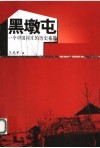 黑墩屯  一个中国村庄的历史素描 封面