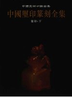 中国玺印篆刻全集  第2卷  玺印  下 封面