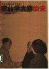 农业学大寨始末 封面
