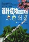 观叶植物病虫害防治原色图鉴 封面