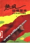 热风从哪里来  从琼瑶到汪国真 封面
