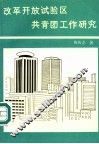 改革开放试验区共青团工作研究 封面