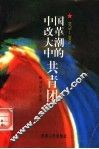 中国改革大潮中的共青团  1978-1994 封面