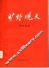 旷野观天  建设有中国特色的社会主义的探索与思考 封面