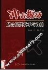 冲击振动复合亚实技术与设备 封面