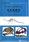 四川井研一完整的蜥脚类恐龙-毛氏峨眉龙 封面