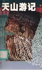 天山游记  第2版 封面