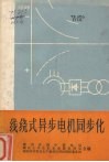 线绕式异步电机同步化 封面