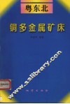 粤东北铜多金属矿床 封面