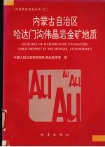 内蒙古自治区哈达门沟伟晶岩金矿地质 封面