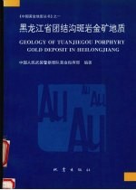 黑龙江省团结沟斑岩金矿地质 封面