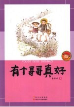 有个哥哥真好 封面