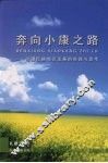 奔向小康之路：边疆民族地区发展的实践与思考 封面