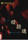 歧路魂  长篇纪实小说 封面