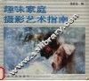 趣味家庭摄影艺术指南 封面