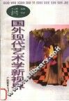 国外现代艺术学新视界 封面