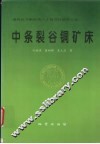 中条裂谷铜矿床 封面