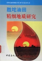 胜坨油田精细地质研究 封面