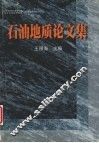 石油地质论文集 封面