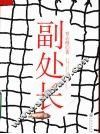 副处长 封面